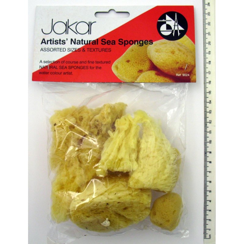 Natural Sea Sponges