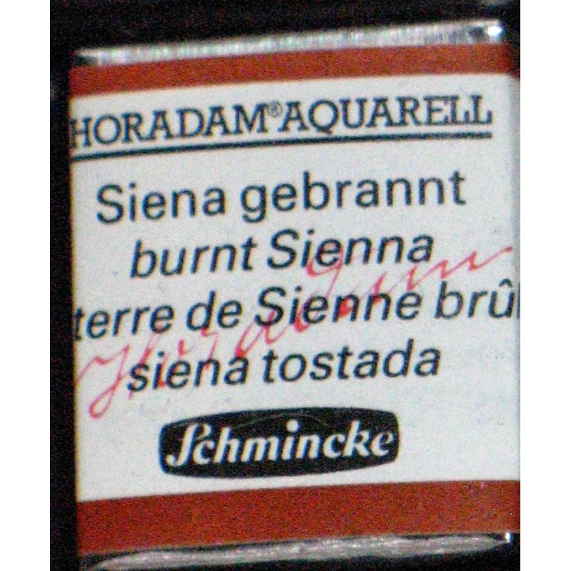 Acquerello Schmincke HORADAM AQUARELL, Mezza Cialda, 665 Umbra Verdastra, Colore Granulare Per Paesaggi, Made In Germany