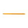 Polychromos artists colour pencils