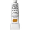 Winsor & Newton Artists' Oil Colour 37ml
