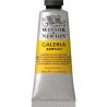 Winsor and Newton Galeria Acrylic 60ml