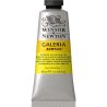 Winsor and Newton Galeria Acrylic 60ml