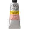 Winsor and Newton Galeria Acrylic 60ml