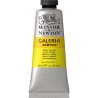 Winsor and Newton Galeria Acrylic 60ml