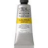 Winsor and Newton Galeria Acrylic 60ml