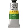 Winsor and Newton Galeria Acrylic 60ml