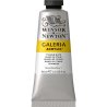 Winsor and Newton Galeria Acrylic 60ml