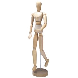 Manikin - male 16 in