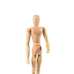 Manikin - male