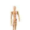 Manikin - male