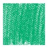 Rembrandt Professional Soft Pastels - PHTHALO GREEN 5 Colour Swatch