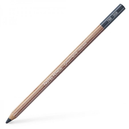 Caran D'Ache Professional Artists Pastel Pencils - Greyish black