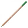 Caran D'Ache Professional Artists Pastel Pencils - Moss green