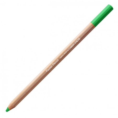 Caran D'Ache Professional Artists Pastel Pencils - Middle moss green 30%