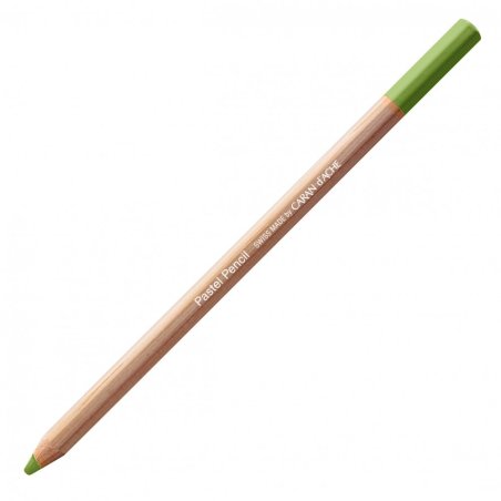 Caran D'Ache Professional Artists Pastel Pencils - Light olive 20%