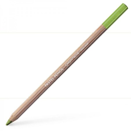 Caran D'Ache Professional Artists Pastel Pencils - Light olive 40%