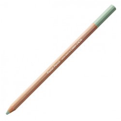 Caran D'Ache Professional Artists Pastel Pencils - Earth green
