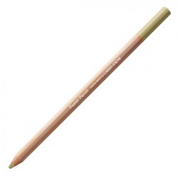 Caran D'Ache Professional Artists Pastel Pencils - Brown Olive 10%