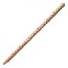 Caran D'Ache Professional Artists Pastel Pencils - Brown Olive 10%