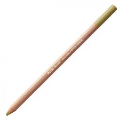 Caran D'Ache Professional Artists Pastel Pencils - Brown Olive 50%
