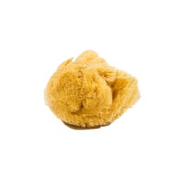 Natural Sea Sponge, Large