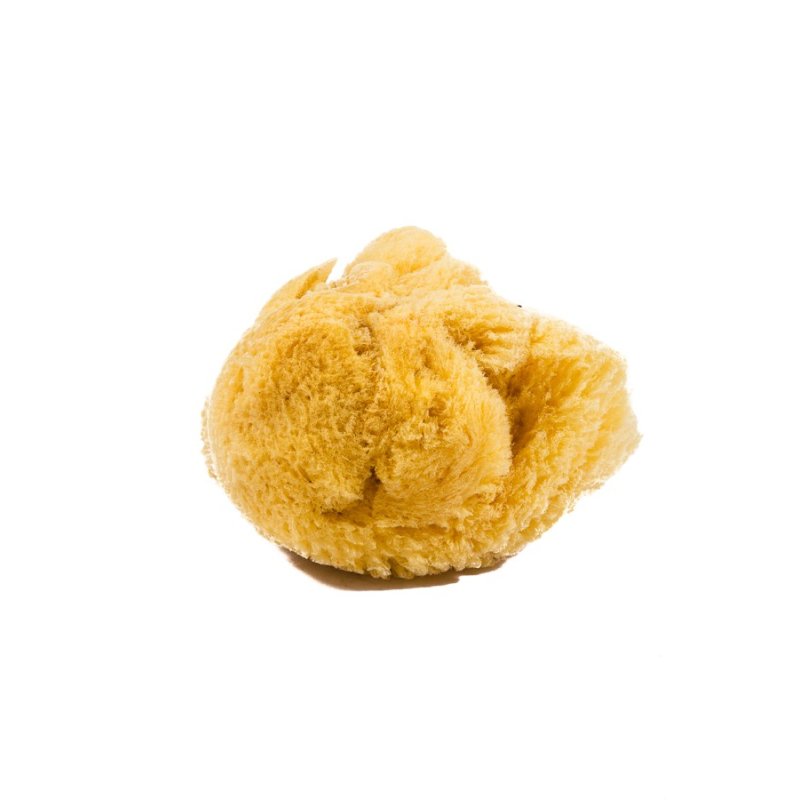 Natural Sea Sponge, Large