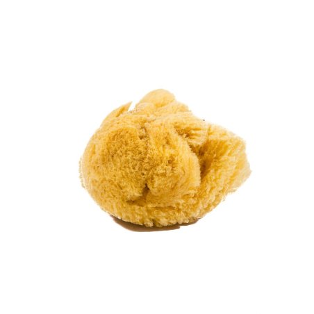 Natural Sea Sponge 