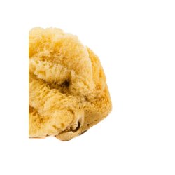 Natural Sea Sponge, Large