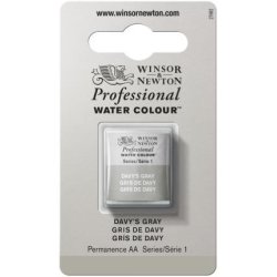 Davy'S Gray Winsor & Newton Professional Artists Half Pan Watercolour