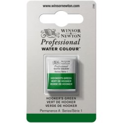 Hooker'S Green Winsor & Newton Professional Artists Half Pan Watercolour