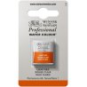 Light Red Winsor & Newton Professional Artists Half Pan Watercolour