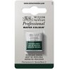 Perylene Green Winsor & Newton Professional Artists Half Pan Watercolour