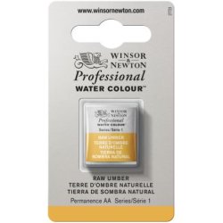 Raw Umber Winsor & Newton Professional Artists Half Pan Watercolour