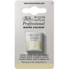 Terre Verte [Yellow Shade] Winsor & Newton Professional Artists Half Pan Watercolour
