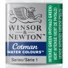 Intense Green  Winsor & Newton Cotman Watercolour Paint Half Pan