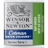 Sap  Green  Winsor & Newton Cotman Watercolour Paint Half Pan