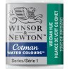 Viridian Hue  Winsor & Newton Cotman Watercolour Paint Half Pan