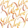 Calligraphy Ink 30ml