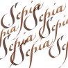 Calligraphy Ink 30ml