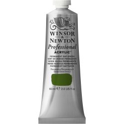 Winsor & Newton Artists Acrylic Colour 60ml - Permanent Sap Green