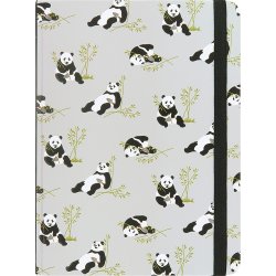 Pandas Journal Notebook