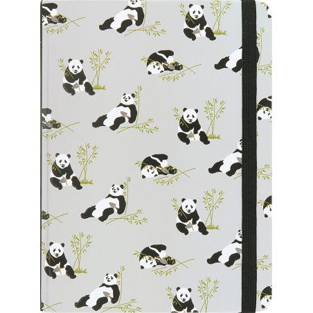 Pandas Journal Notebook