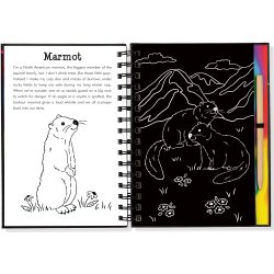 Llamas & Friends Scratch & Sketch Art Book