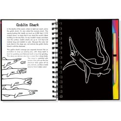 Scratch & Sketch Sharks Art Book