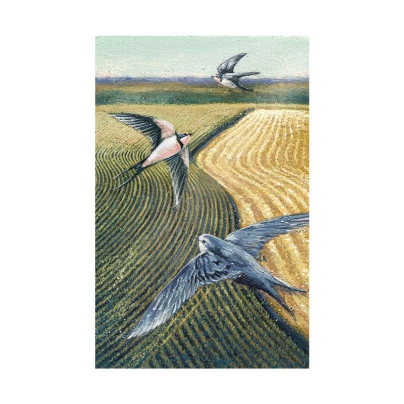 The Art File Luxury Notecards & Envelopes - Swallows