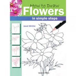 How to Draw.... in simple steps books