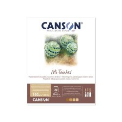 Canson Mi-Teintes Pastel Pad 32x41cm 160gsm - Brown Tones