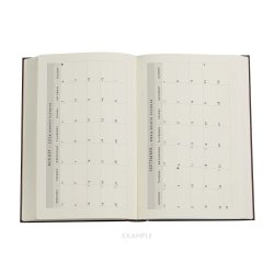 Paperblanks Maxi Vertical Inkblot Old Leather Collection 2024 Planner