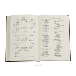Paperblanks Maxi Vertical Inkblot Old Leather Collection 2024 Planner