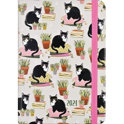 Smarty Cats 16 month diary...
